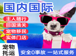 高崎航空邮寄国际宠物托运 【国
